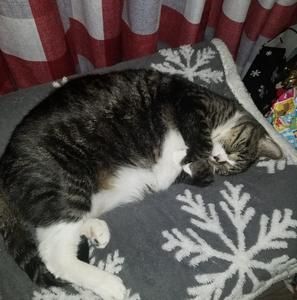 Meet your Posher, Cathy